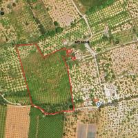 Terreno Limoneto a Noto (SR)