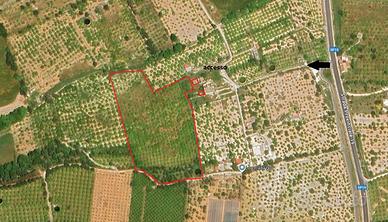 Terreno Limoneto a Noto (SR)