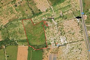 Terreno Limoneto a Noto (SR)