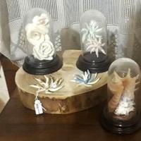 MINI TECA con mix ceramica
