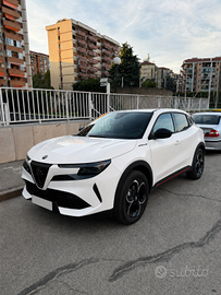 Alfa Romeo Junior