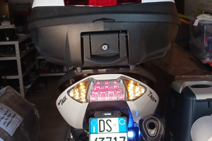 T.max bianco perlato