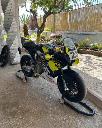 Ohvale GP2 190 2024