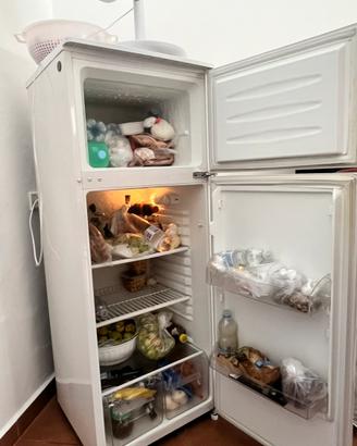 Frigo Kendo