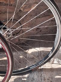 coppia biciclette da corsa 