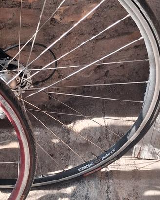 coppia biciclette da corsa 