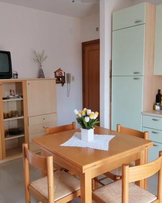 Appartamento in vasto marina