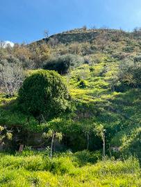 Terreno a Cefalù