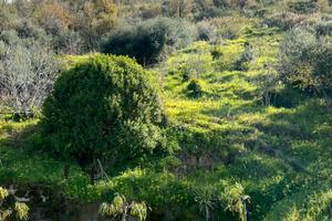 Terreno a Cefalù