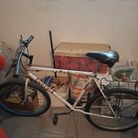 Bicicletta