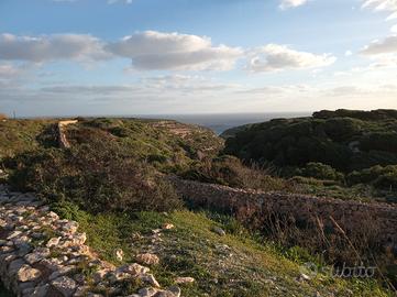 Terreno e rustico panoramico vista mare