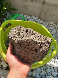 Rocce vulcaniche acquario