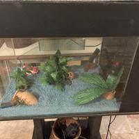 Acquario completo 100L con mobile + filtro + mangi