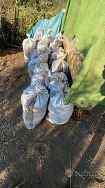 stallatico per orto o giardini agrumi ulivi