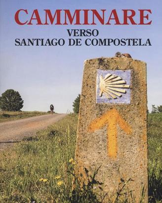 Camminare verso Santiago de Compostela