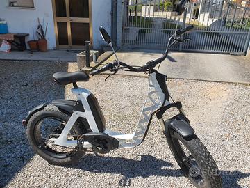 Bicicletta elettrica