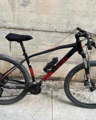 Bici olympia