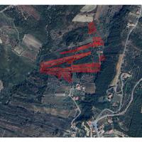 Terreno Agricolo con vigneto