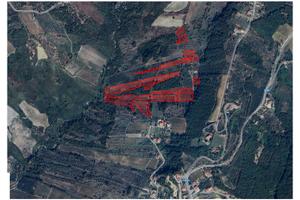 Terreno Agricolo con vigneto