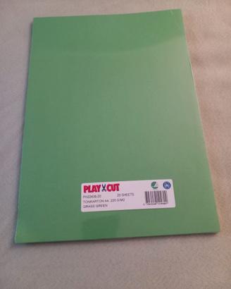 Cartoncini A4 color verde brillante (20 fogli)