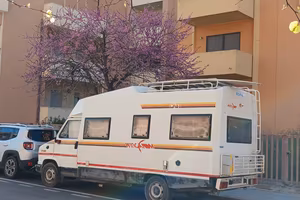 oasi 600 wingmann