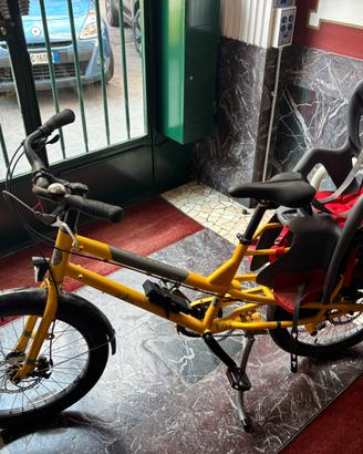 Cargo bike YUBA KOMBI muscolare