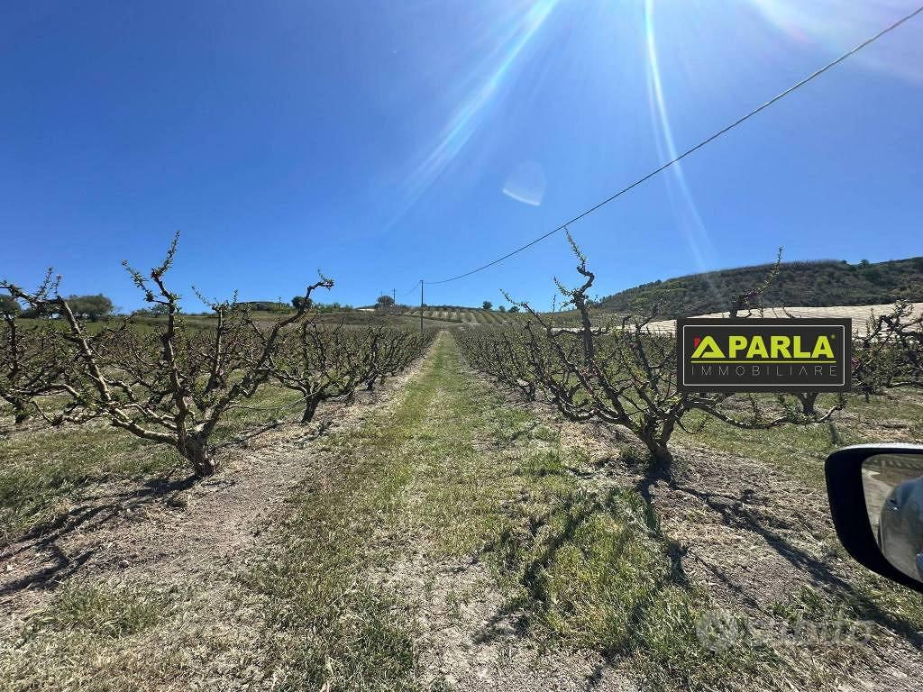 Terreno di 100000 m² a Delia - Altro