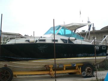 Berca m 9,50 in VTR modello FIART ZEUS+ carrellone