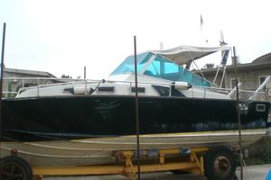 Berca m 9,50 in VTR modello FIART ZEUS+ carrellone