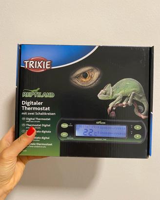 Termostato digitale
