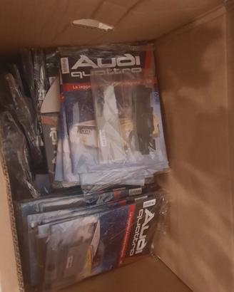 Audi Quattro scala 1:8