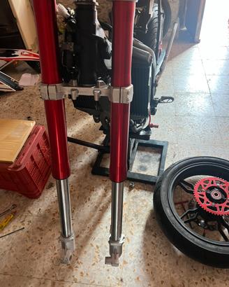 Forcelle rovesciate beta/sherco/rieju/hm