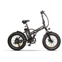 Bici elettrica fat bike The one rider