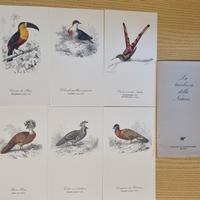 Set di cartoline decorative con uccelli e frutti