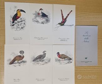 Set di cartoline decorative con uccelli e frutti