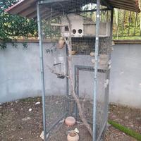 voliera per uccelli