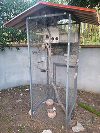 voliera per uccelli