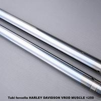 Tubi forcella HARLEY DAVIDSON VROD MUSCLE 1250