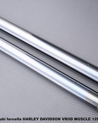 Tubi forcella HARLEY DAVIDSON VROD MUSCLE 1250