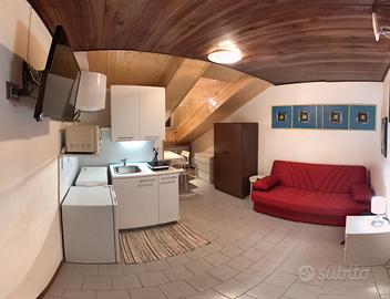 Mansarda monolocale arredata zona Crocetta Torino