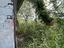 Immagine 26