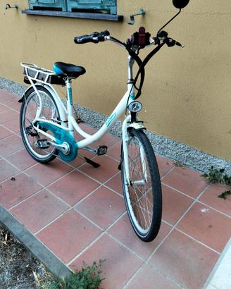 Bicicletta elettrica