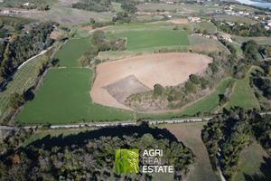 Aprilia (LT) - Terreno agricolo 7 HA | TR457