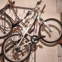 coppia biciclette Atala e Bugno piu bici bambino