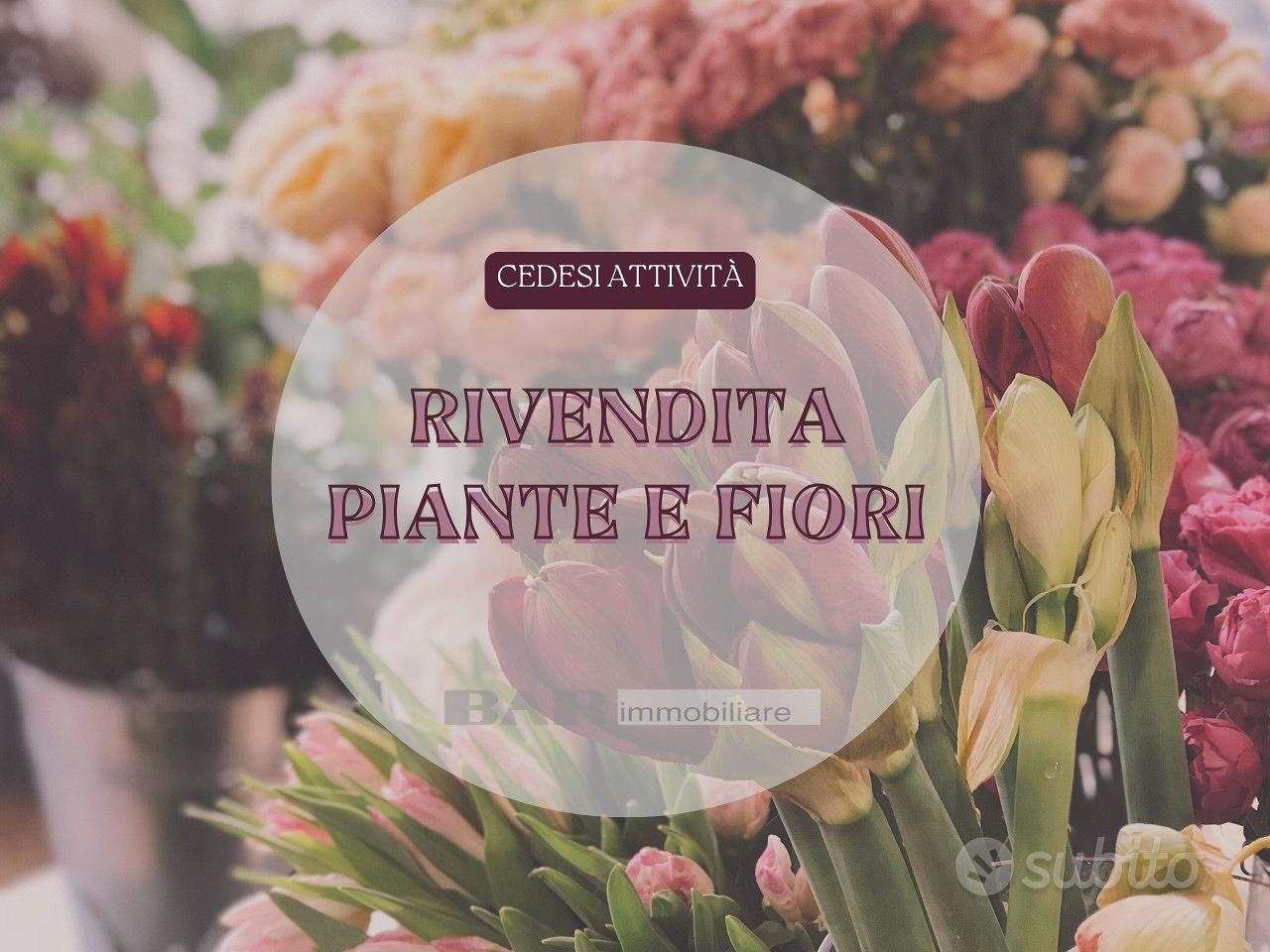 RIF. 26/A140 - attività di piante e fiori