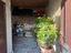 Immagine 14