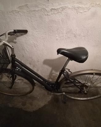 Bici / Bicicletta 