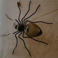 Lampada a muro ragno