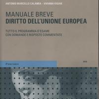 Diritto dell'Unione europea : manuale breve