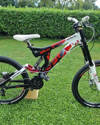 Specialized downhill